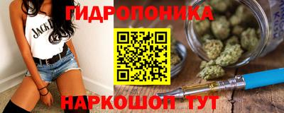 гашик Гусев