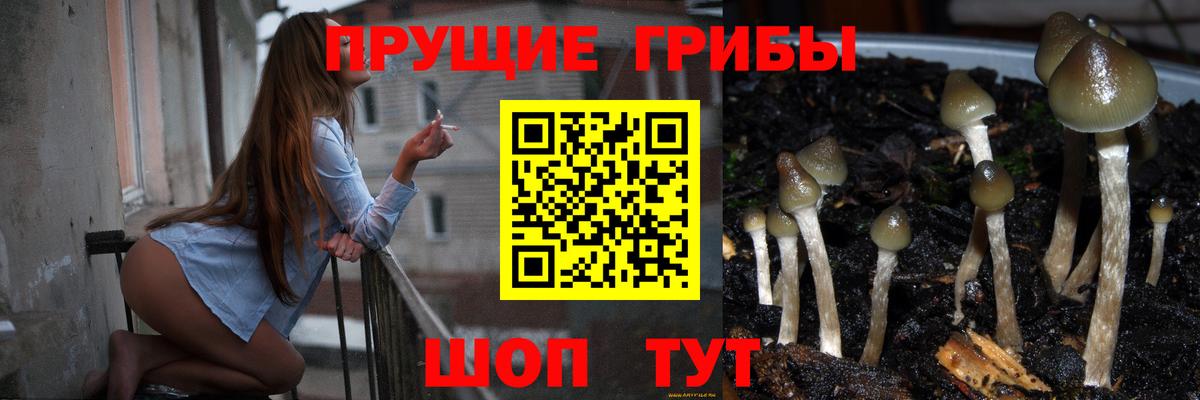 Псилоцибиновые грибы мицелий  Вход с VPN  Искитим  Псилоцибиновые грибы Magic Shrooms 