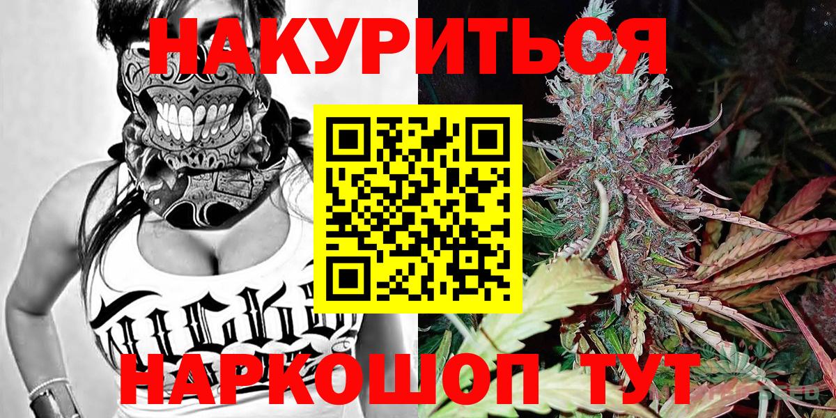Каннабис гибрид Искитим